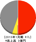 徳川電工 損益計算書 2013年1月期
