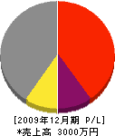泉山勝工務店 損益計算書 2009年12月期