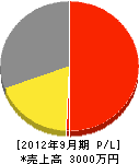 熊本工業 損益計算書 2012年9月期