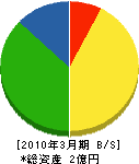 窪田組 貸借対照表 2010年3月期