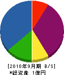 大川建設 貸借対照表 2010年9月期