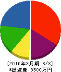 本庄ペイント工業 貸借対照表 2010年3月期