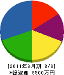 岡村建設 貸借対照表 2011年6月期