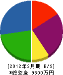 浦川電気商会 貸借対照表 2012年3月期