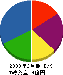 瀧田 貸借対照表 2009年2月期