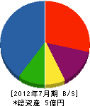 渡辺塗装工業 貸借対照表 2012年7月期
