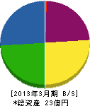山永興業 貸借対照表 2013年3月期
