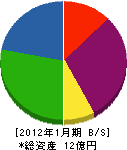 矢野口自工 貸借対照表 2012年1月期