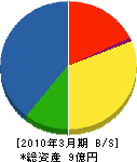 宮崎管工事（同） 貸借対照表 2010年3月期