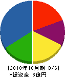 静寿工業 貸借対照表 2010年10月期