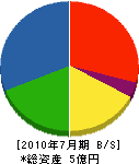 矢島組 貸借対照表 2010年7月期