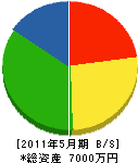 渡邉建具建材 貸借対照表 2011年5月期
