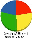 日本ウィル 貸借対照表 2012年5月期