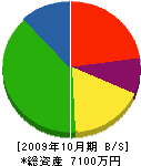 赤湯プロパン 貸借対照表 2009年10月期