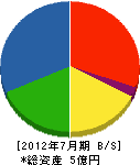 矢島組 貸借対照表 2012年7月期