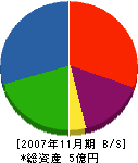 小樽工業 貸借対照表 2007年11月期