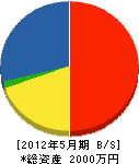 寺田工業 貸借対照表 2012年5月期