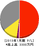 丸山電気商会 損益計算書 2013年1月期