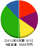 晃大 貸借対照表 2012年9月期