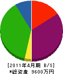 丸美商会 貸借対照表 2011年4月期