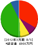 江口工芸社 貸借対照表 2012年3月期