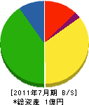 金津電子 貸借対照表 2011年7月期