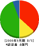 木村総業 貸借対照表 2008年9月期
