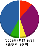 田村組 貸借対照表 2009年4月期