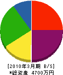 大江電機 貸借対照表 2010年3月期