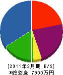 小野沢塗装工業所 貸借対照表 2011年3月期