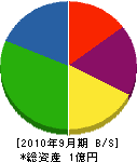 渡辺興業 貸借対照表 2010年9月期