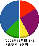 南陽総建 貸借対照表 2009年12月期