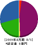 タムラハウス 貸借対照表 2009年4月期