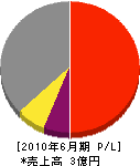 秋田電気工事 損益計算書 2010年6月期