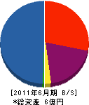 永山組 貸借対照表 2011年6月期