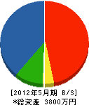 澄川電設 貸借対照表 2012年5月期