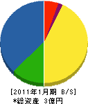 江丹別産業開発 貸借対照表 2011年1月期
