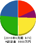堀田電業社 貸借対照表 2010年6月期