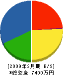 木本総業 貸借対照表 2009年3月期
