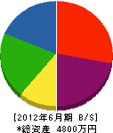 武田衛土建工業 貸借対照表 2012年6月期