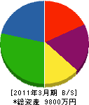 渡辺建設工業 貸借対照表 2011年3月期