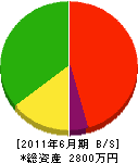 北日本ファラオン 貸借対照表 2011年6月期