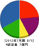 松栄電子工業 貸借対照表 2012年7月期