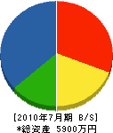 佐藤財組 貸借対照表 2010年7月期