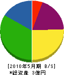 隅田 貸借対照表 2010年5月期
