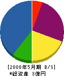 永田工業 貸借対照表 2008年5月期