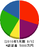 幸田電気工業 貸借対照表 2010年5月期
