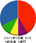 木田組 貸借対照表 2011年6月期