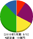 細川産業 貸借対照表 2010年5月期