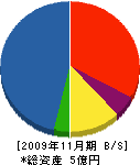 中島電気工事 貸借対照表 2009年11月期